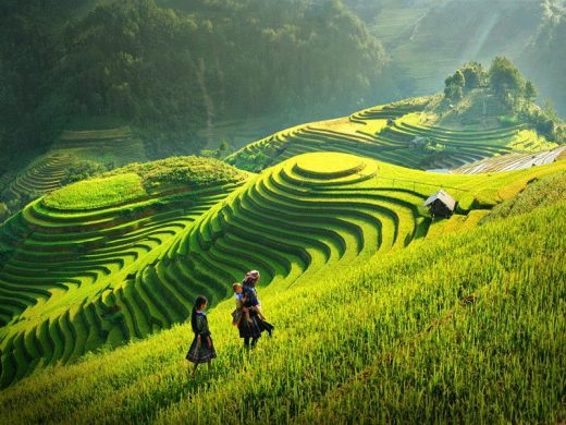 Chia Sẻ Kinh Nghiệm Du Lịch Mộc Châu 3 Ngày 2 Đêm