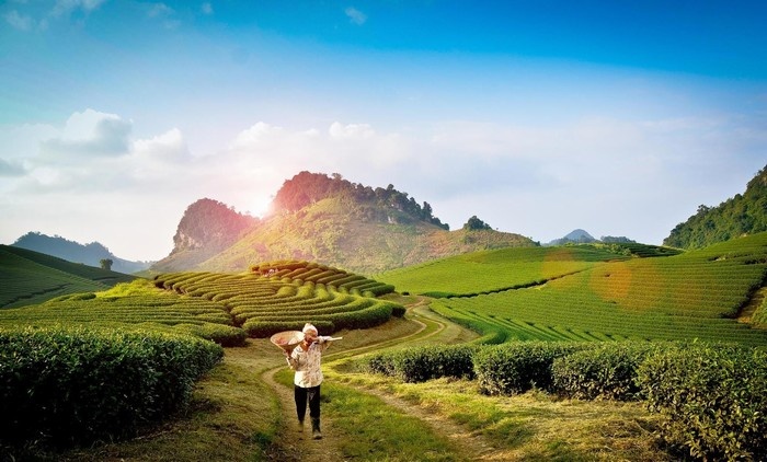 Hướng Dẫn Di Chuyển Đến Du Lịch Mộc Châu (Từ HCM)