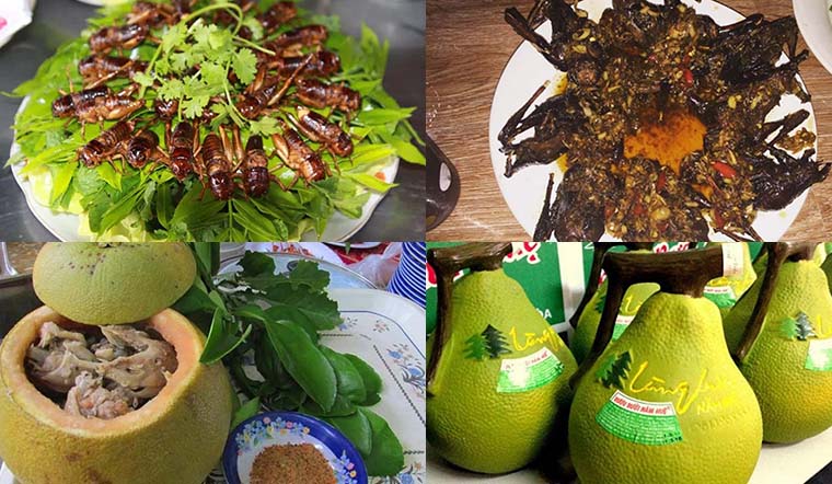 Di Chuyển Đến Du Lịch Khu Du Lịch Bửu Long Như Thế Nào Cho Hợp Lý?