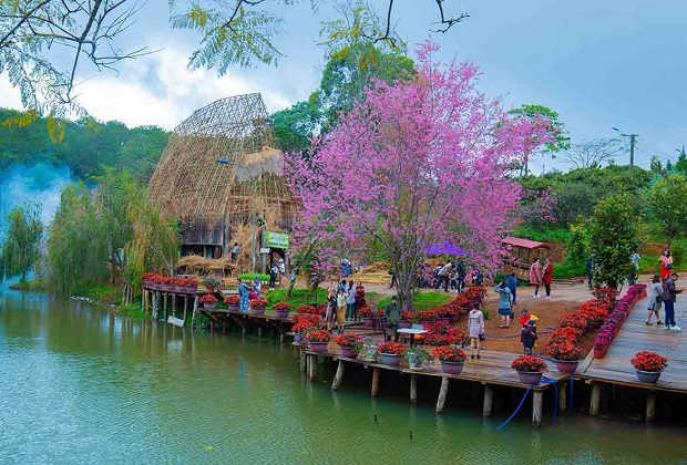 Kinh Nghiệm Di Chuyển Trong Chuyến Du Lịch Măng Đen 2 Ngày 1 Đêm 