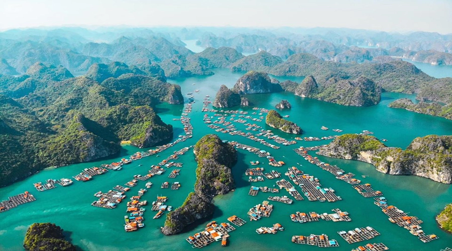 Nên Ở Đâu Khi Đến Du Lịch Lan Hạ