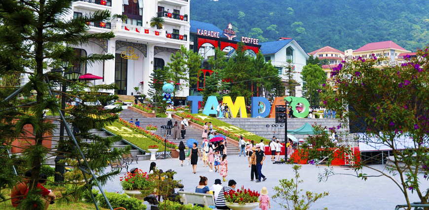 Cẩm nang khi đi du lịch Tam Đảo 1 ngày
